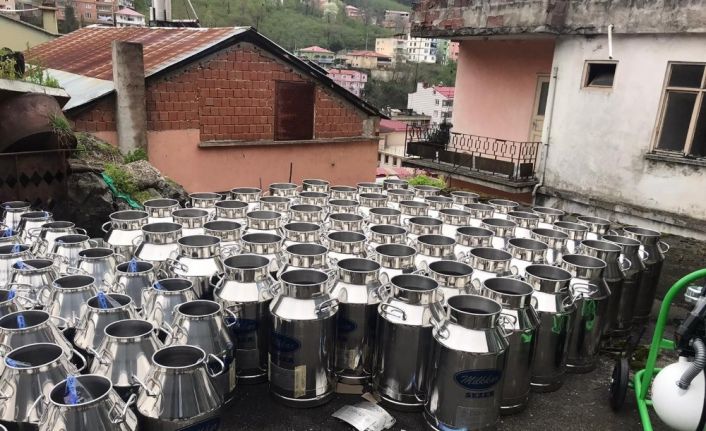 Giresun’da manda yetiştiriciliği ve manda sütü toplama projesi hızla geliştiriliyor