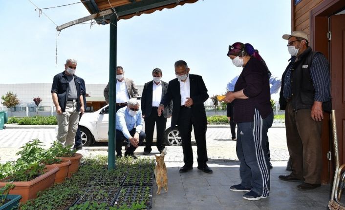 Hobi bahçeleri kriterlere uyulması şartıyla açılacak