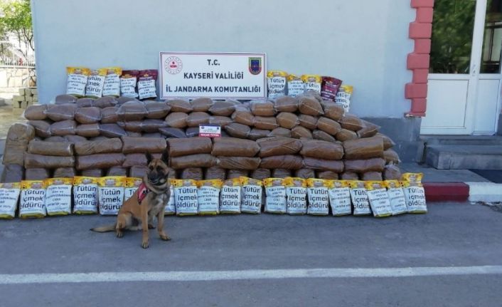 Karga aracında 2 ton 250 kilo kaçak sarmalık kıyılmış tütün ele geçirildi