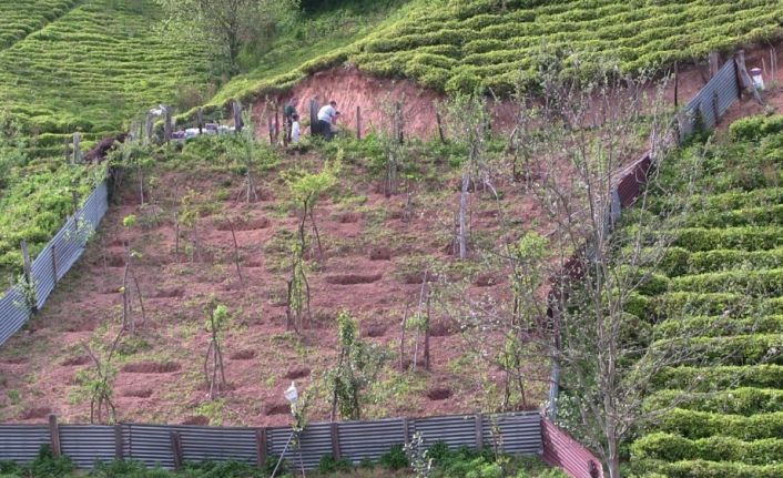 Korona virüs karantinaları sonrası Artvin’in Borçka ilçesinde köylere göçler başladı