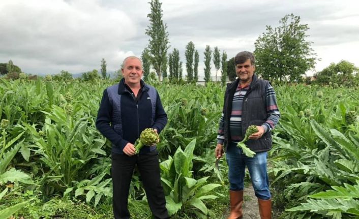 Korona’ya inat Salihli çiftçisi üretiyor