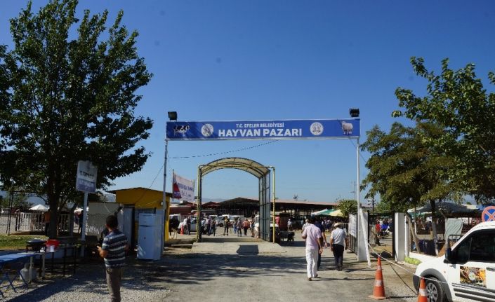 Kovid-19 tedbirleri kapsamında Çeştepe, Nazilli ve Çine Hayvan pazarları açıldı