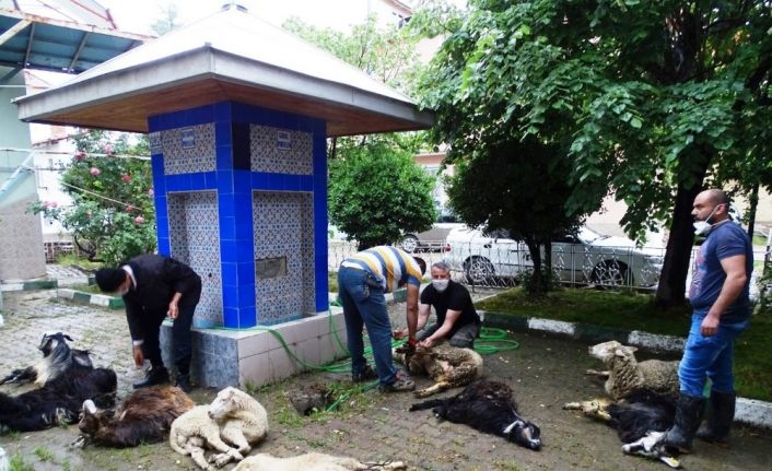 Mahalle halkı “Korona virüs bitsin” diye 11 küçükbaş, 2 büyükbaş kurban kesti