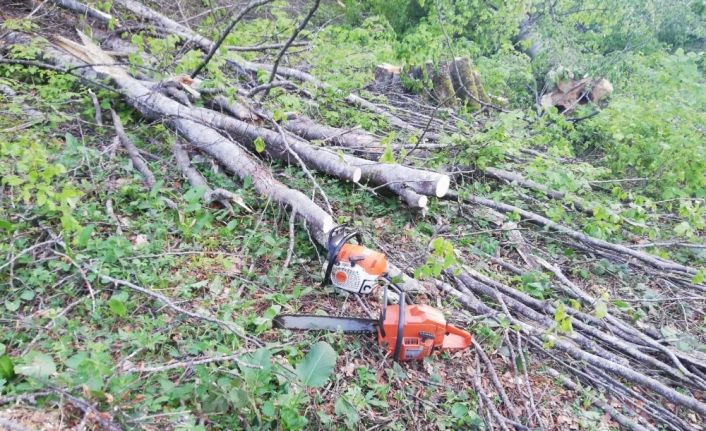 Ormanda kesim yapıldığı esnada ağaç dalı başına düşen genç hayatını kaybetti