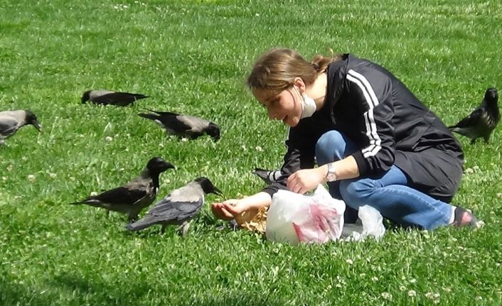 (Özel) 3 yıldır elleriyle beslediği kargayı kısıtlama günlerinde de aç bırakmadı