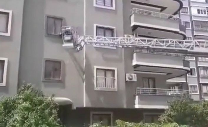 Pencereye sıkışan güvercin kurtarıldı