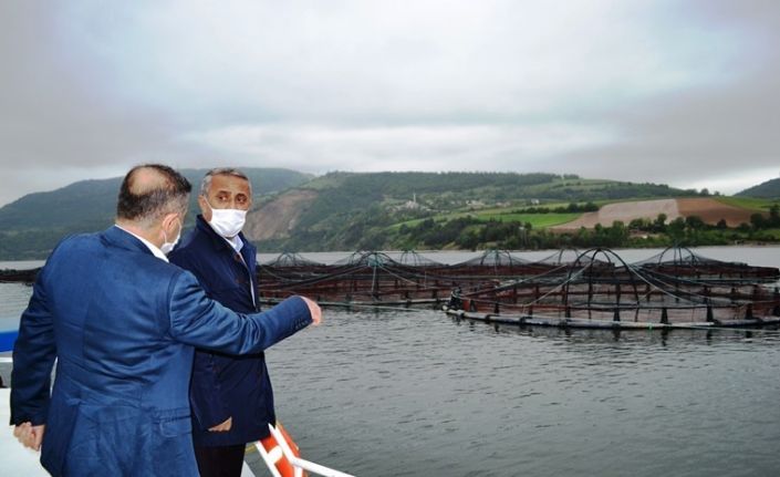 Samsun’da balık çiftliklerinde yılda 16 bin tondan fazla balık üretiliyor