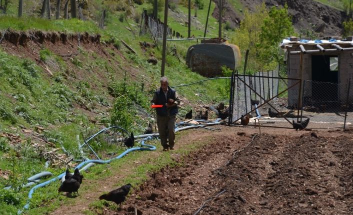 SYDV’den aldığı 2 bin lira ile tavuk aldı, organik yumurta satarak ailesini geçindirmeye başladı