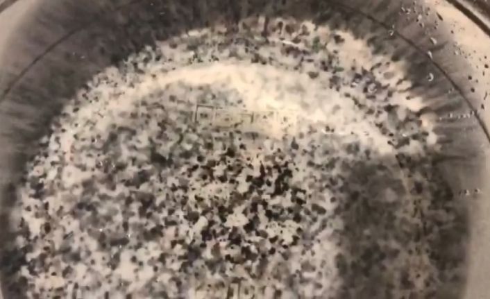 Temizlemek için söktüğü musluk filtresinde yüzlerce sinek görünce şaşkına döndü