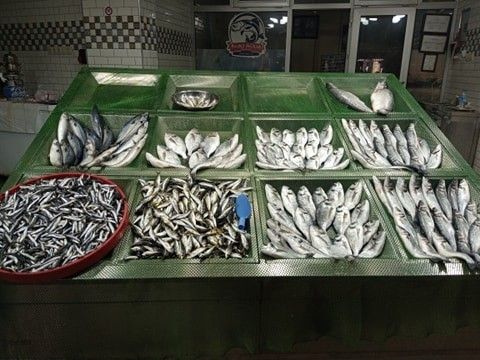 Vatandaşlar çupra ve levrek ilgi gösterdi