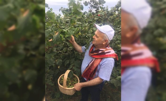 AK Parti Giresun İl Başkanı Kenan Tatlı: “Açıklanan fındık fiyatı beklentileri karşıladı”