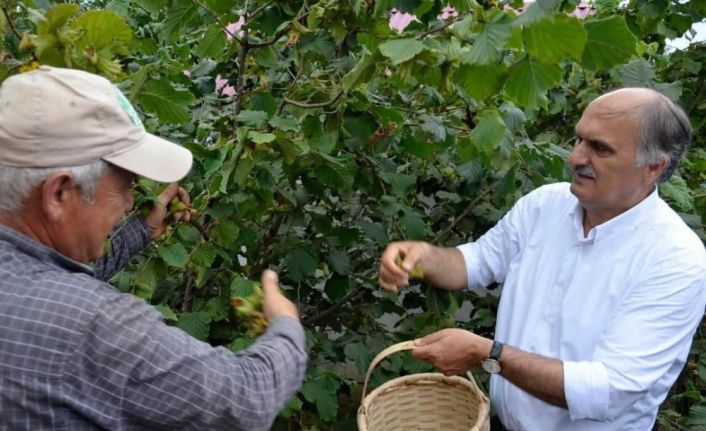 AK Parti Giresun Milletvekili Cemal Öztürk: "Fındık fiyatını Cumhurbaşkanı Erdoğan açıklayacak"