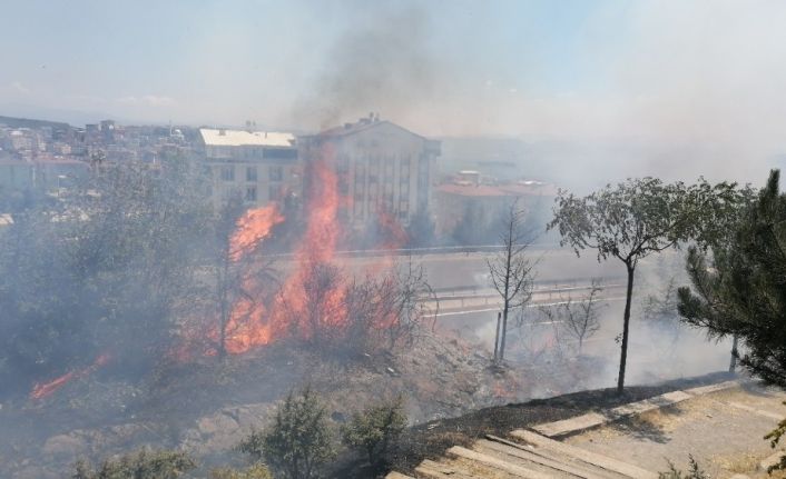 Alkol alırken yaktıkları ateş onlarca ağacı küle döndürdü