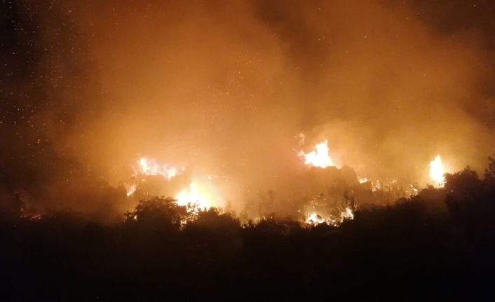 Antalya’da gece başlayan yangında 5 hektarlık ormanlık alan zarar gördü