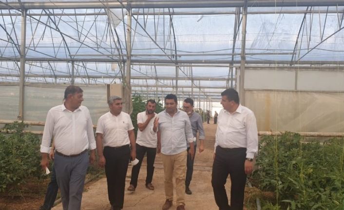 ATSO, Antalya’nın seracılık tecrübelerini Şırnak’a aktarıyor