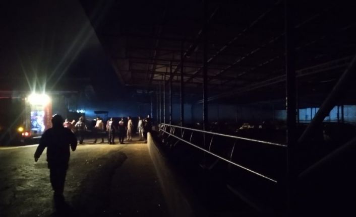 Balıkesir’de bir samanlıkta çıkan yangında 4 bin balya saman kül oldu