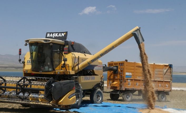 Bitlis’te 100 milyon TL’lik buğday hasılatı bekleniyor