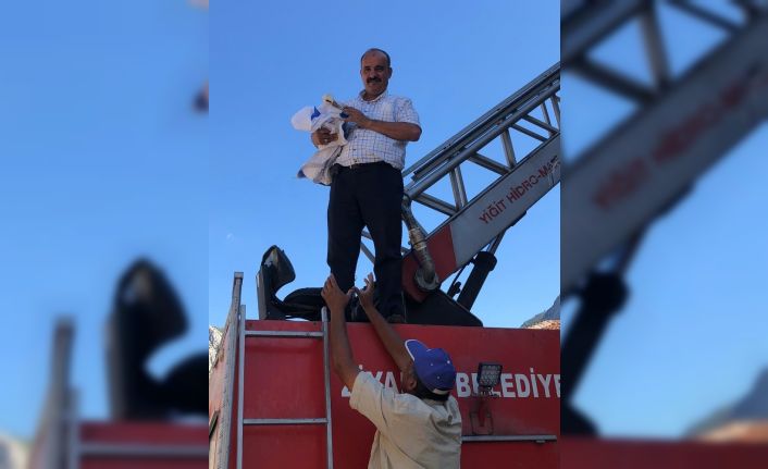 Caminin alemine takılan leyleği itfaiye ekipleri kurtardı