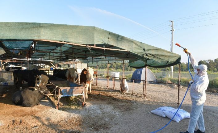 Çiğli’de hayvan pazarları dezenfekte edildi