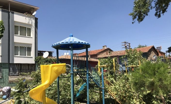 Çocuk Parkındaki tarihi çınar ağacı devrildi: 3 araç hasar gördü