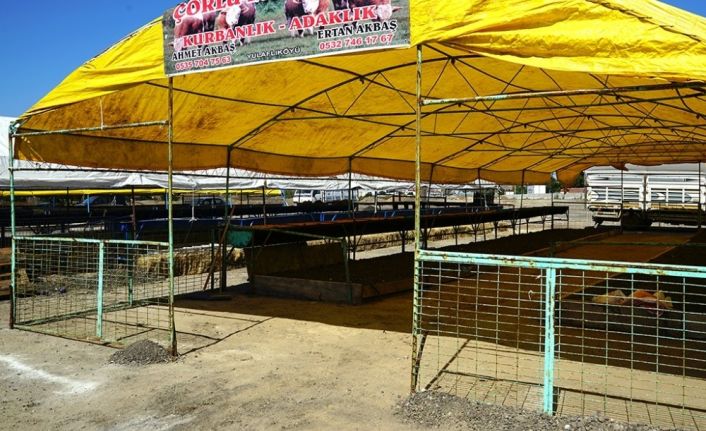 Çorlu Kurban Satış Merkezi açılıyor