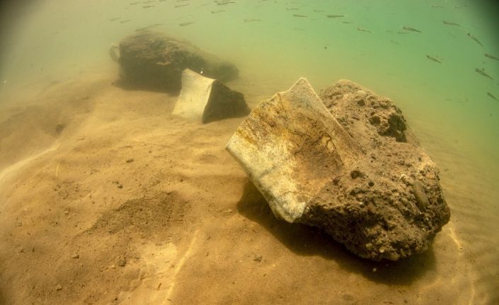 Dünyada ilk kez kara canlısının fosili Yamula Barajı’nda su altında bulundu