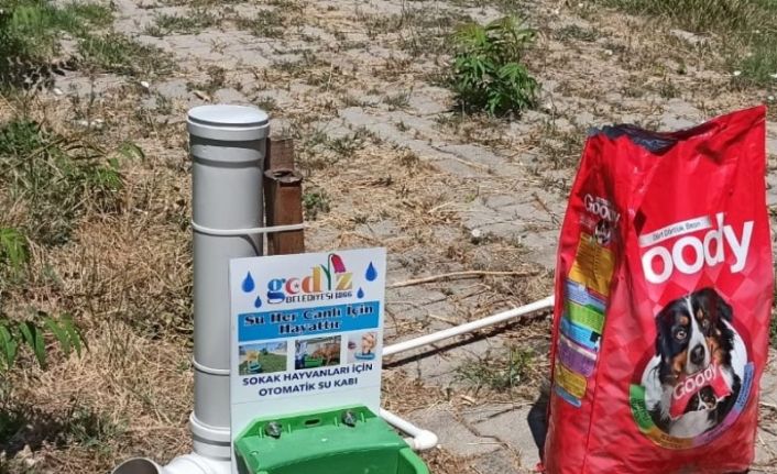 Gediz Belediyesi’nden sahipsiz sokak hayvanları için bir kap yemek bir kap su