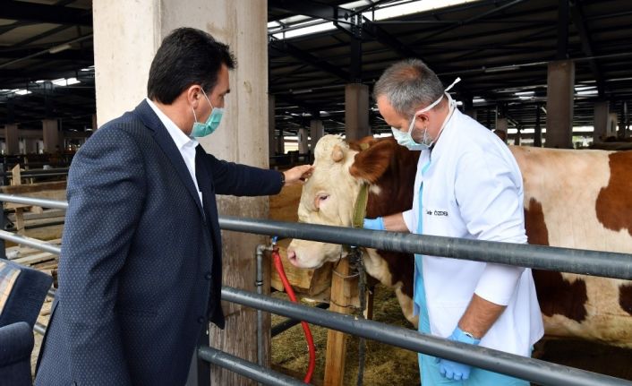 Günlük 4 bin hayvan kapasiteli tesiste ilk pazarlığı Başkan Dündar yaptı