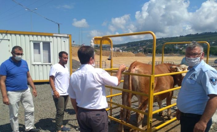 Hayvan pazarlarına sıkı denetim