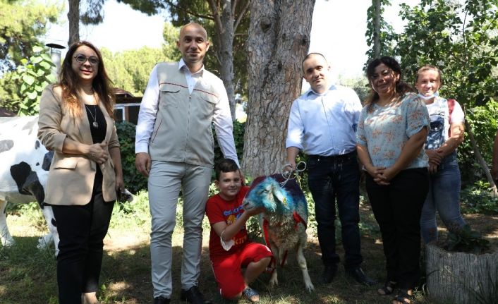 Hiç kurban kesemeyen vatandaş CİMER’den kurbanlık talep etti, Bakan Pakdemirli kurbanlık gönderdi