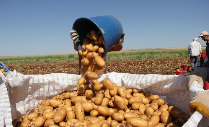 İşçi aracısıydı üretici oldu