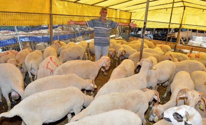 İzmir Kurban Bayramına hazır