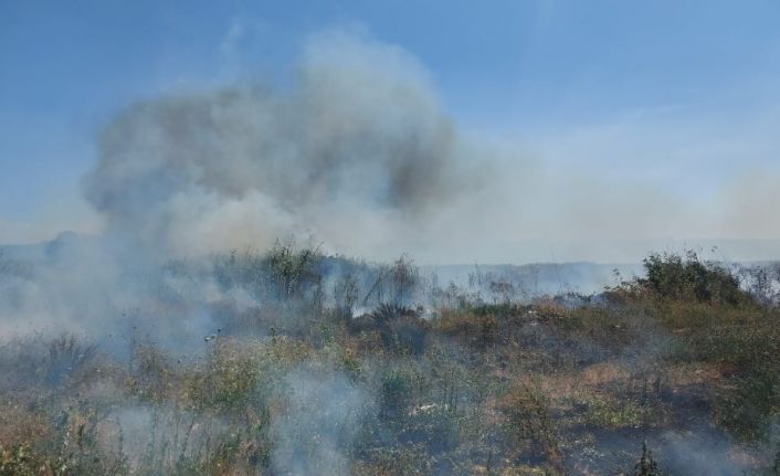 İznik Gölü’ndeki sazlık yangını giderek büyüyor