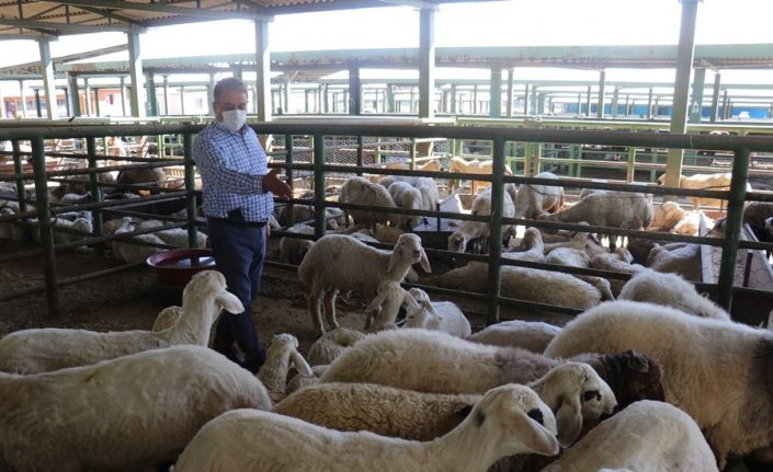 Keskin, hayvan pazarını ziyaret etti