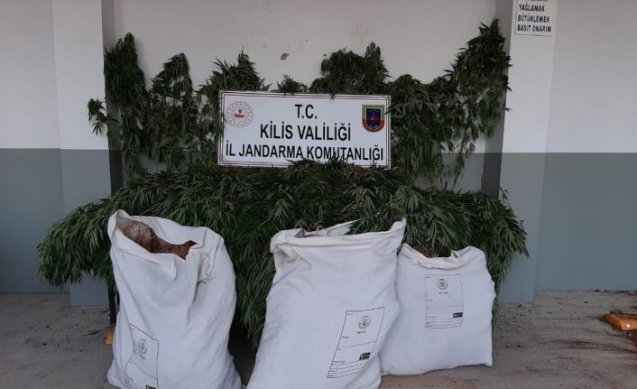 Kilis’te uyuşturucu operasyonu