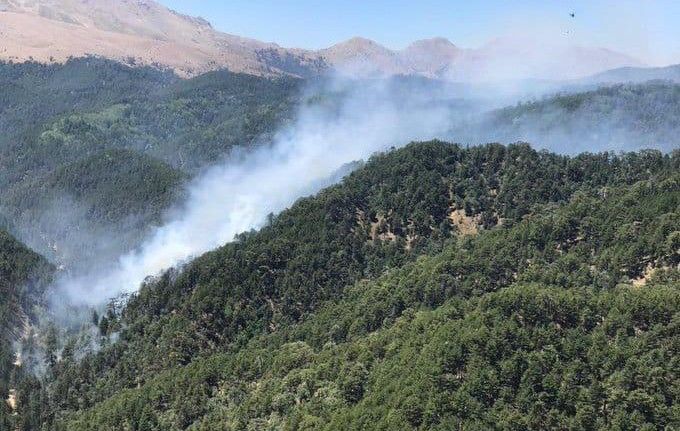 Kızıldağ’daki orman yangını kontrol altına alındı