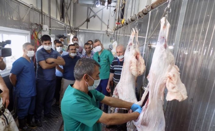 Kurban kesim kursu tamamlandı