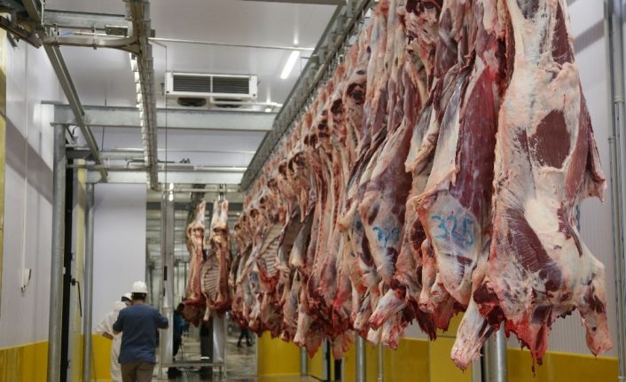 Kurbanlık hayvanını hijyenik ortamda kestirmek isteyen vatandaşlardan mezbahalara yoğun ilgi