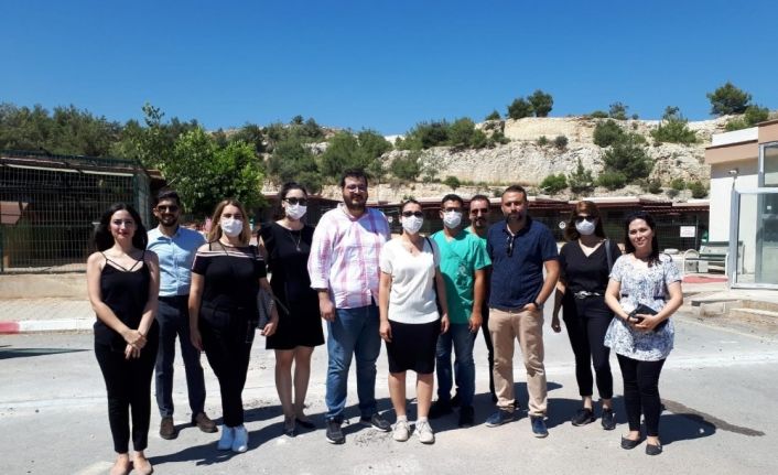 Mersin Barosu, pandemide sokak hayvanlarının barınma şartlarını raporladı