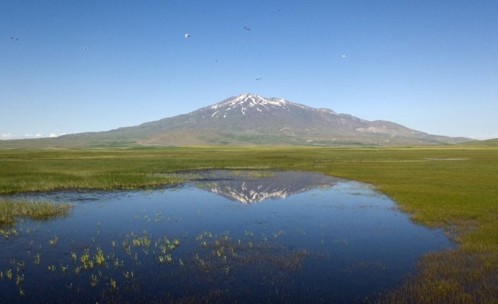 (Özel) Kuş Cenneti Cil Gölü’nün havadan görüntüsü hayran bırakıyor