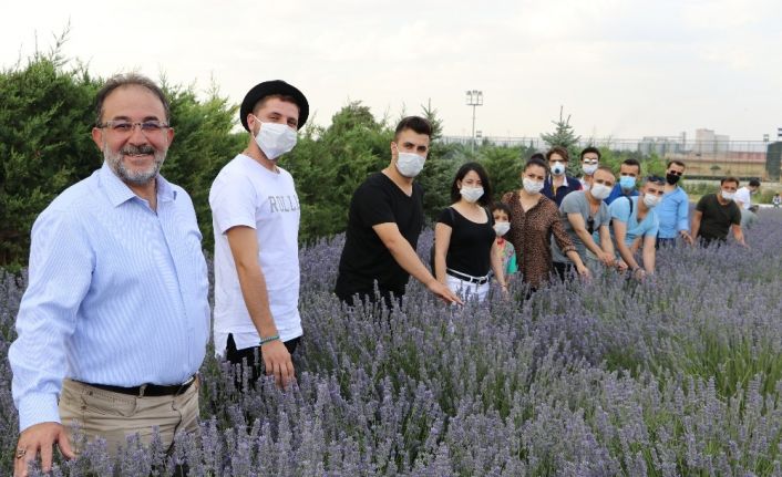 Parasızlıktan lavanta üretimine başlayan belediye 2 milyon lira gelir bekliyor