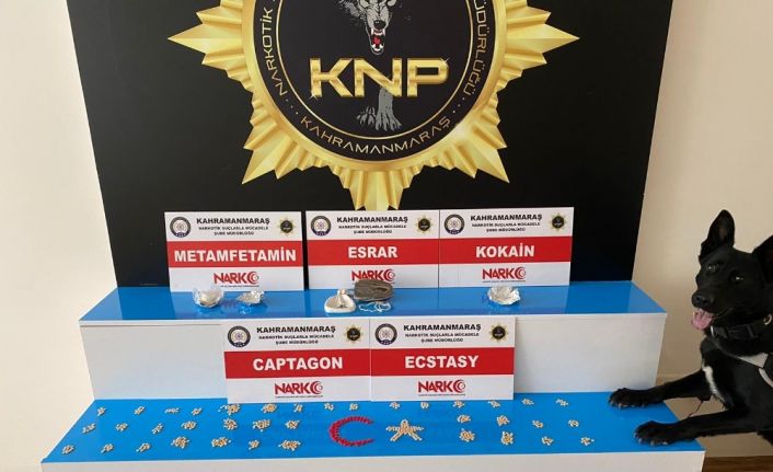 Polisten zehir tacirlerine çifte operasyon