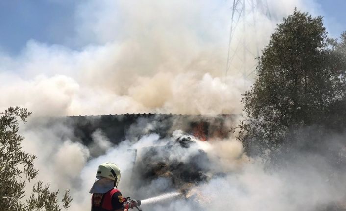 Saman balyaları yandı