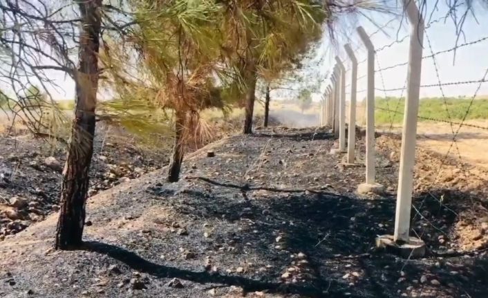 Sigara izmariti binlerce dönümlük araziyi yakacaktı