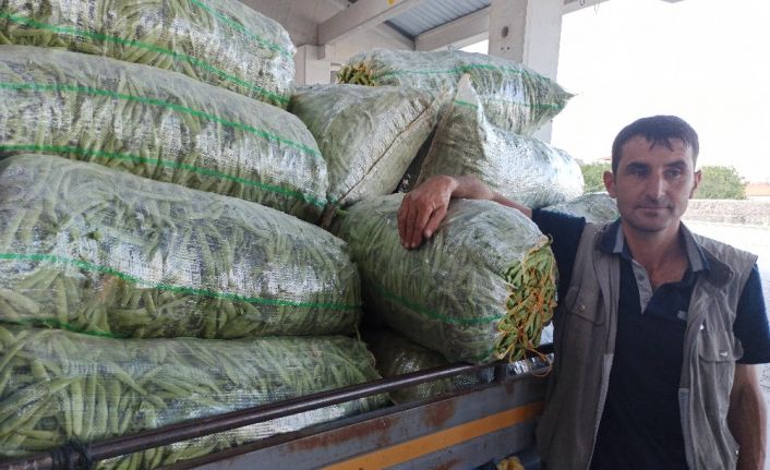 Taze fasulye fiyatı ile ne üreticiyi ne de alıcıyı memnun etti