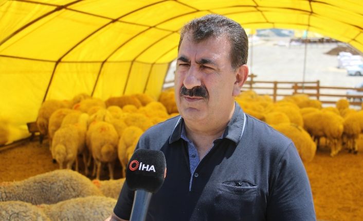 TÜDKİYEB Genel Başkanı Çelik: “Şuan da stoklarımızda 5 milyon küçükbaş hayvan müşterisini bekliyor”