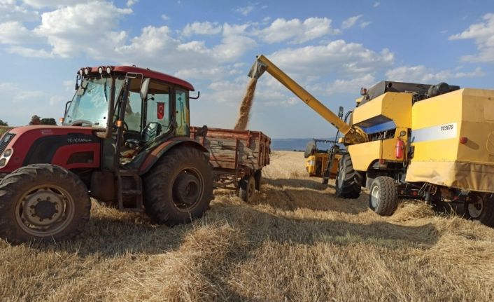 Umdukları hasadı yapamadılar