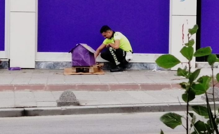 Üsküdar da yürekleri ısıtan görüntü; her mesai bitiminde kedi evine uğruyor