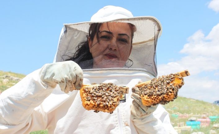Zeynep Yıldız, Toros Dağları’nda 17 yıldır Kraliçe Arı üretiyor