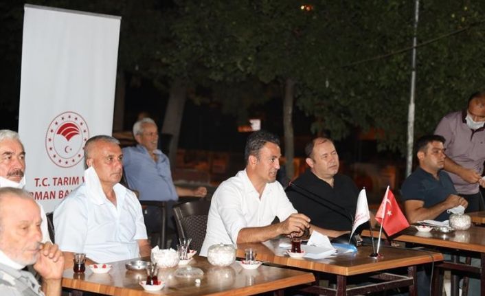 50 bin dekar alanda 1 milyon ceviz fidanı toprakla buluşuyor
